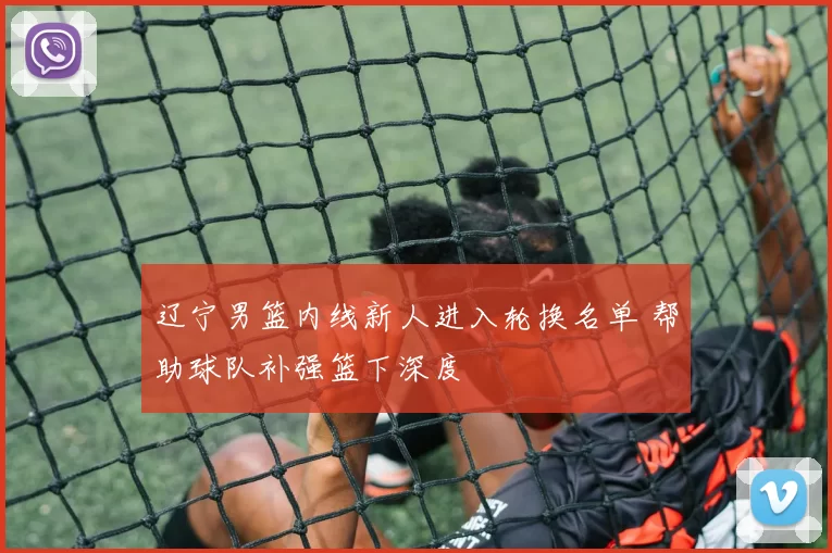 辽宁男篮内线新人进入轮换名单 帮助球队补强篮下深度