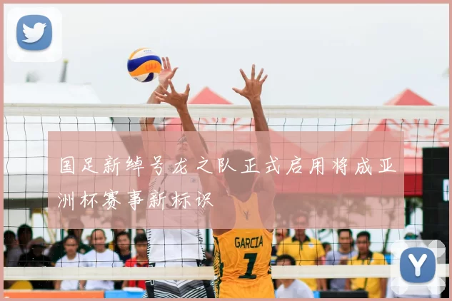 国足新绰号龙之队正式启用将成亚洲杯赛事新标识