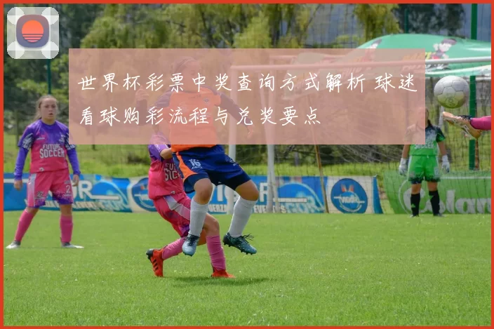世界杯彩票中奖查询方式解析 球迷看球购彩流程与兑奖要点