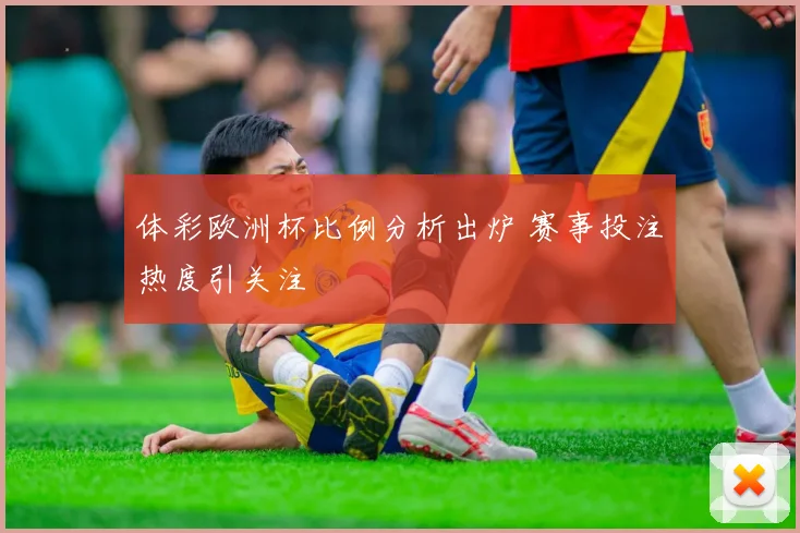 体彩欧洲杯比例分析出炉 赛事投注热度引关注